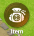 ITEM.png